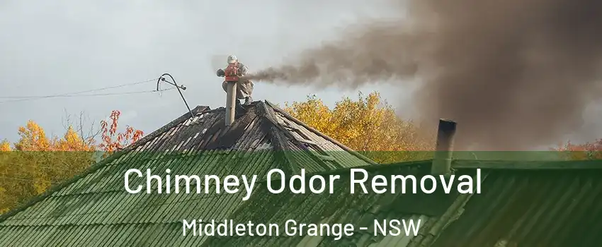 Chimney Odor Removal Middleton Grange - NSW