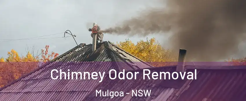 Chimney Odor Removal Mulgoa - NSW