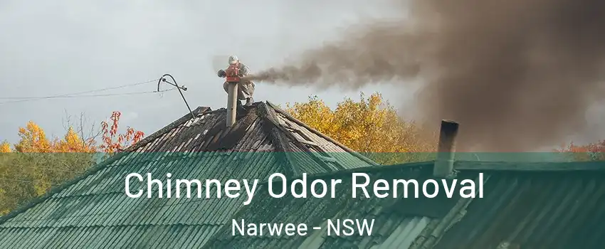 Chimney Odor Removal Narwee - NSW