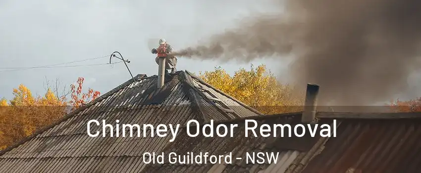 Chimney Odor Removal Old Guildford - NSW