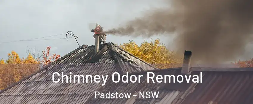 Chimney Odor Removal Padstow - NSW