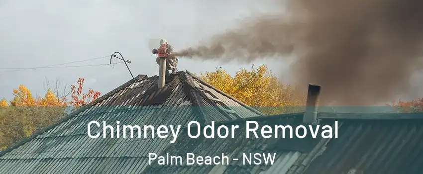 Chimney Odor Removal Palm Beach - NSW