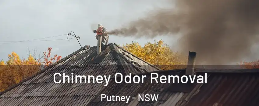 Chimney Odor Removal Putney - NSW