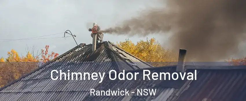 Chimney Odor Removal Randwick - NSW