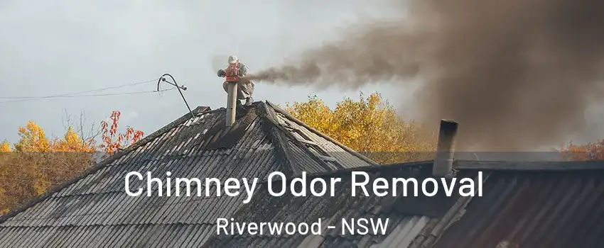 Chimney Odor Removal Riverwood - NSW