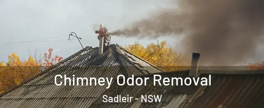 Chimney Odor Removal Sadleir - NSW