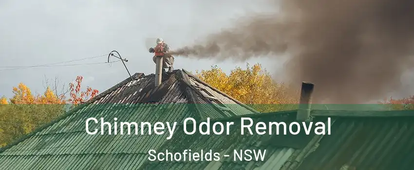 Chimney Odor Removal Schofields - NSW