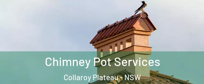Chimney Pot Services Collaroy Plateau - NSW