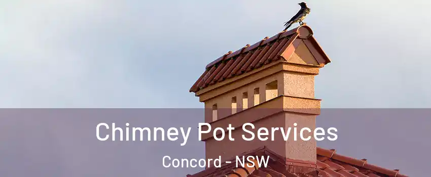 Chimney Pot Services Concord - NSW