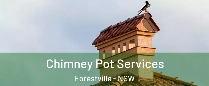 Chimney Pot Services Forestville - NSW