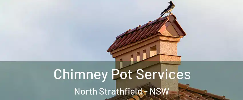 Chimney Pot Services North Strathfield - NSW