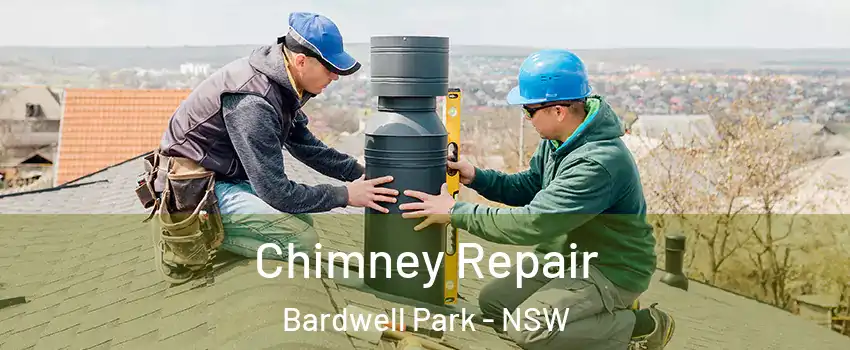 Chimney Repair Bardwell Park - NSW