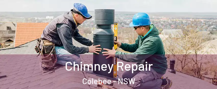 Chimney Repair Colebee - NSW