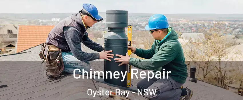 Chimney Repair Oyster Bay - NSW
