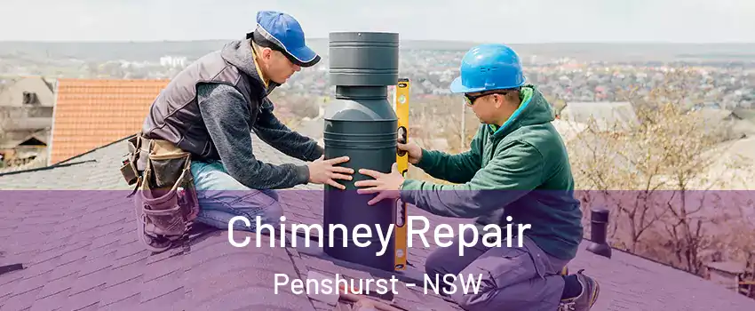Chimney Repair Penshurst - NSW