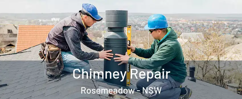 Chimney Repair Rosemeadow - NSW