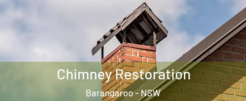 Chimney Restoration Barangaroo - NSW