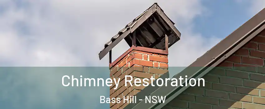 Chimney Restoration Bass Hill - NSW