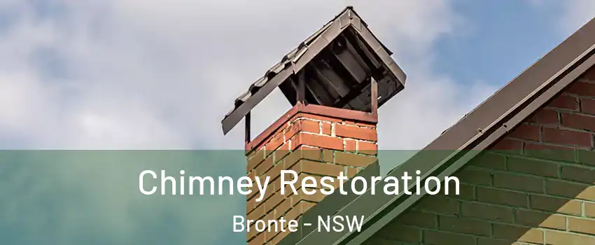 Chimney Restoration Bronte - NSW