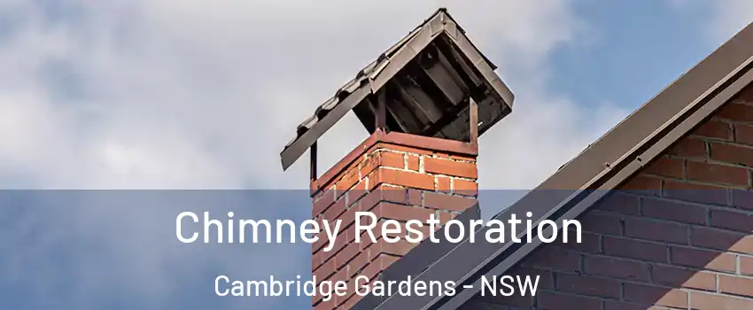 Chimney Restoration Cambridge Gardens - NSW