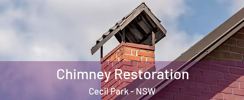 Chimney Restoration Cecil Park - NSW