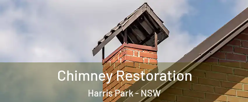 Chimney Restoration Harris Park - NSW