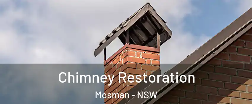 Chimney Restoration Mosman - NSW