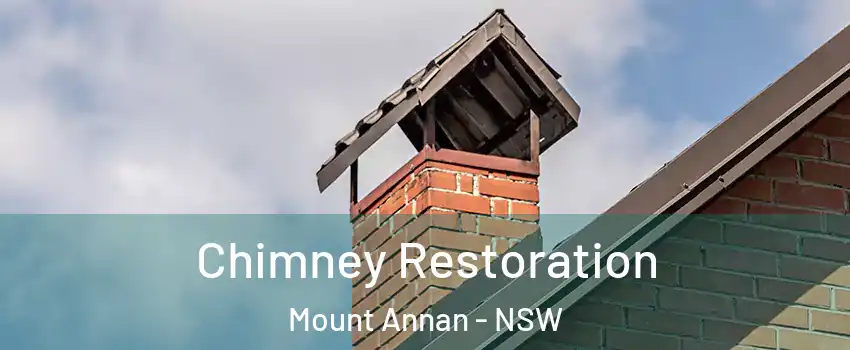 Chimney Restoration Mount Annan - NSW