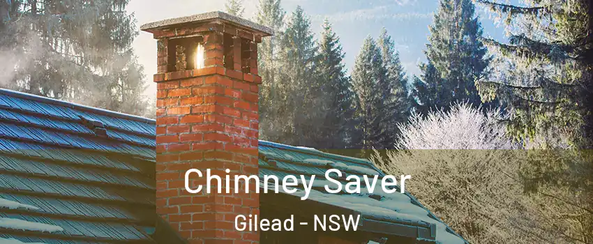 Chimney Saver Gilead - NSW