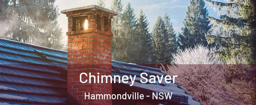 Chimney Saver Hammondville - NSW