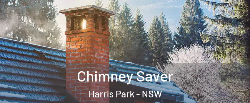 Chimney Saver Harris Park - NSW