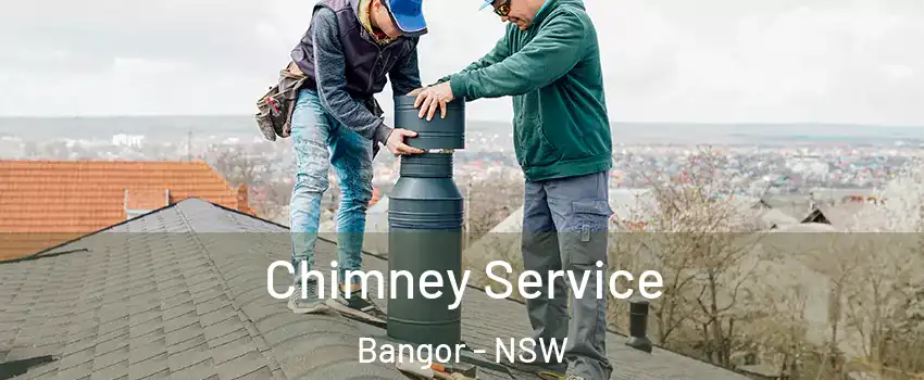  Chimney Service Bangor - NSW