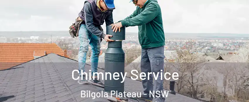 Chimney Service Bilgola Plateau - NSW