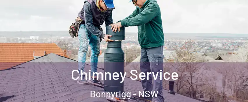 Chimney Service Bonnyrigg - NSW