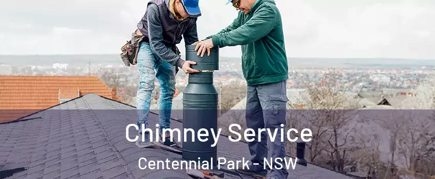 Chimney Service Centennial Park - NSW