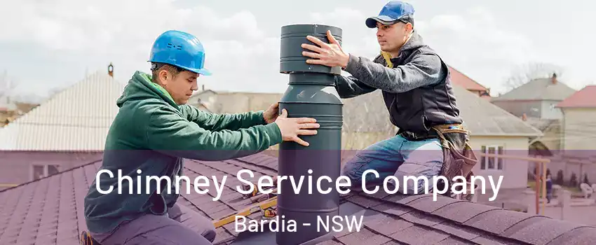 Chimney Service Company Bardia - NSW