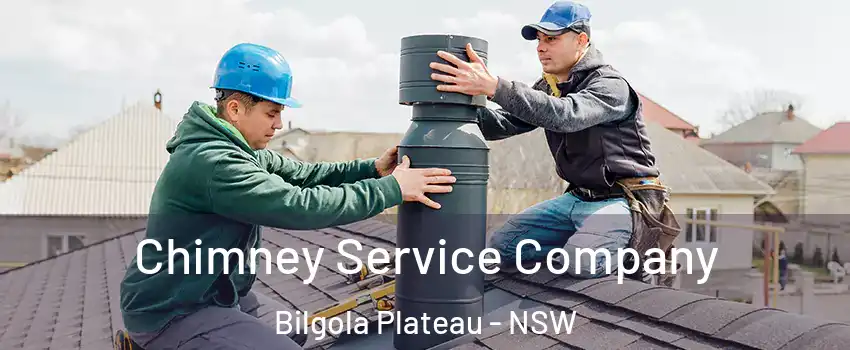 Chimney Service Company Bilgola Plateau - NSW