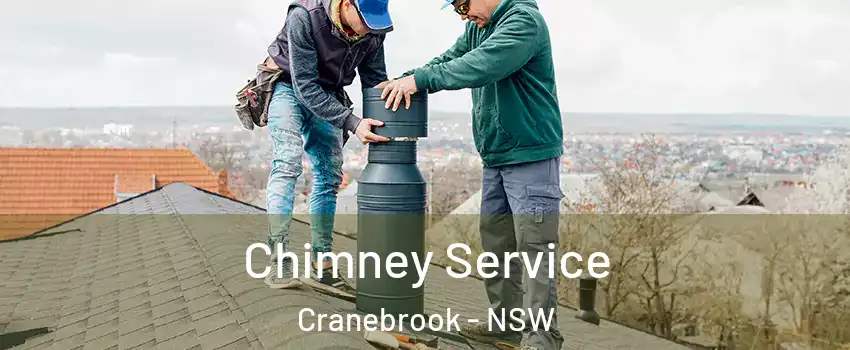 Chimney Service Cranebrook - NSW
