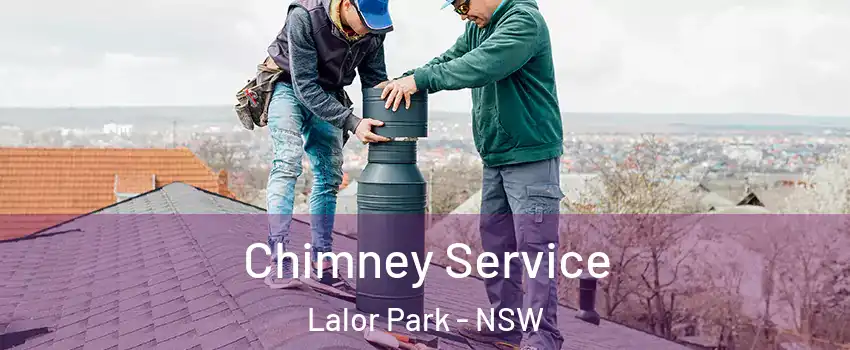 Chimney Service Lalor Park - NSW