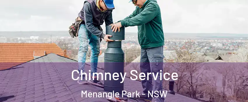 Chimney Service Menangle Park - NSW