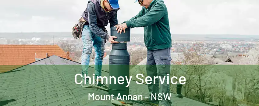 Chimney Service Mount Annan - NSW