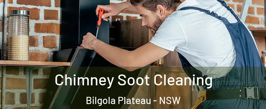 Chimney Soot Cleaning Bilgola Plateau - NSW