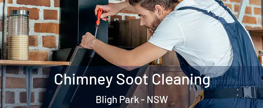 Chimney Soot Cleaning Bligh Park - NSW