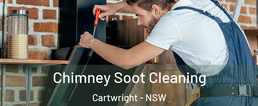 Chimney Soot Cleaning Cartwright - NSW