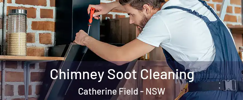 Chimney Soot Cleaning Catherine Field - NSW