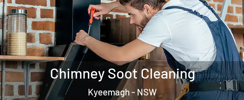 Chimney Soot Cleaning Kyeemagh - NSW