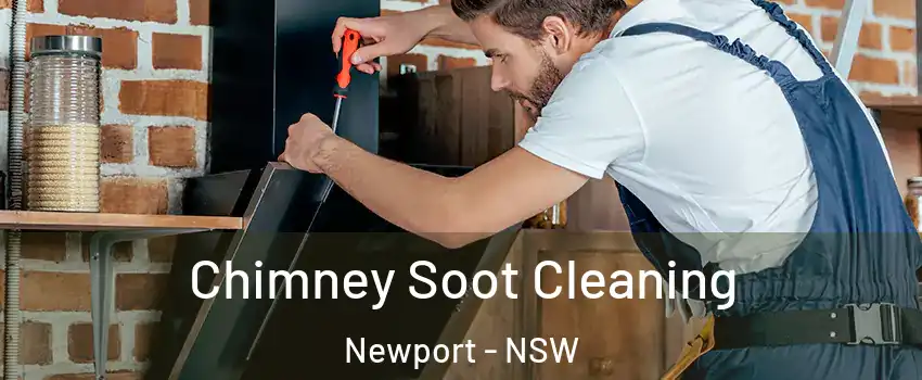 Chimney Soot Cleaning Newport - NSW