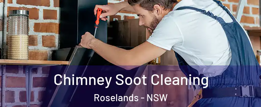 Chimney Soot Cleaning Roselands - NSW