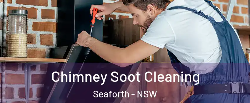 Chimney Soot Cleaning Seaforth - NSW