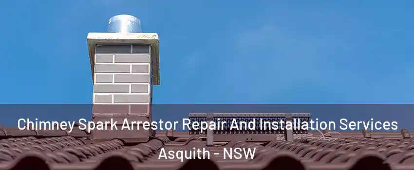  Chimney Spark Arrestor Repair And Installation Services Asquith - NSW